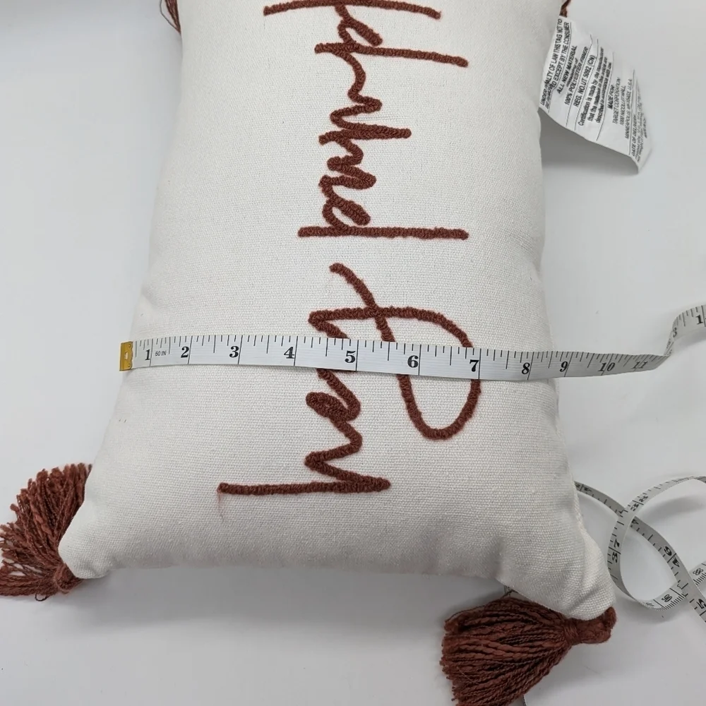 ✨3/$15 Hey Pumpkin White Burnt Red/Orange Embroidered Fall Autumn Throw Pillow